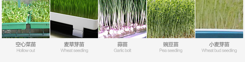 595f49f94e581.jpg/