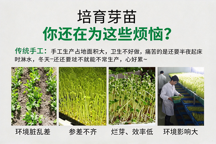 傳統(tǒng)芽苗培育存在的問題